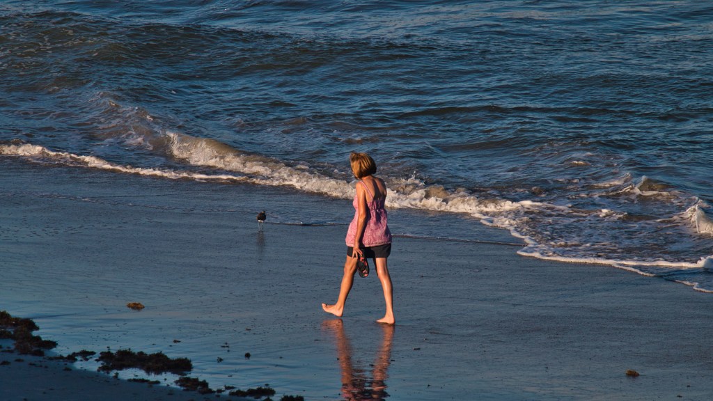 walking walking alone on a beach with her back to the camera