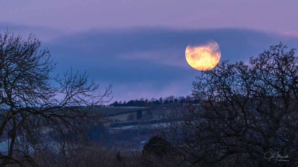 A bright yellow moon low in the sky at dusk