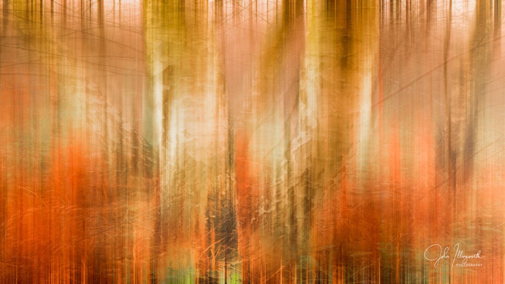 blurred image of a forest fire 
