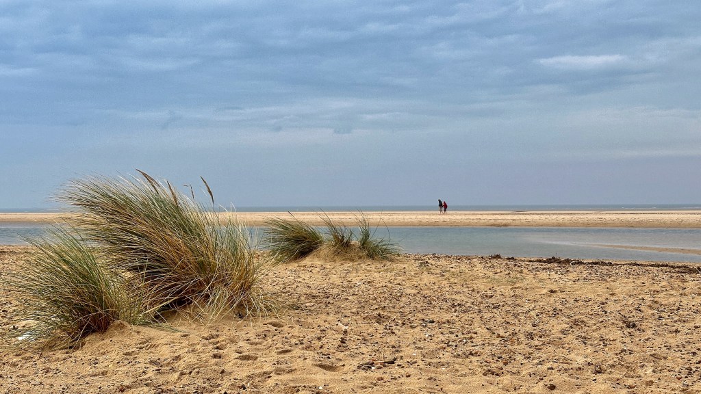 Two figures walking on a sandy beach, with sea in the background and sea grass in the foreground.